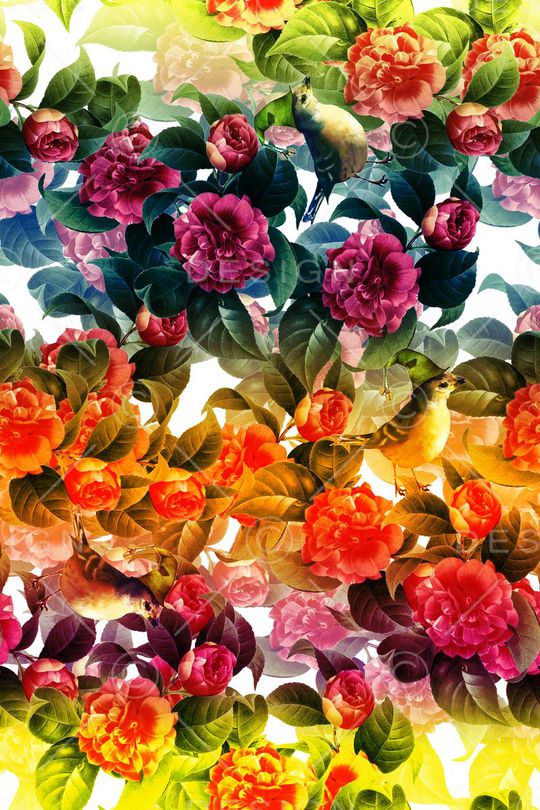 条纹印花华亿平台图片