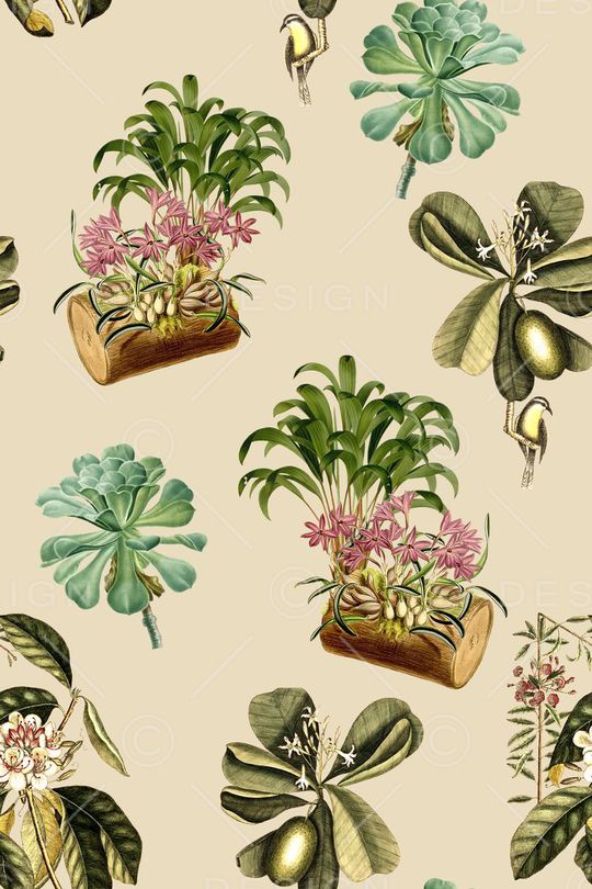 植物印花华亿平台图片