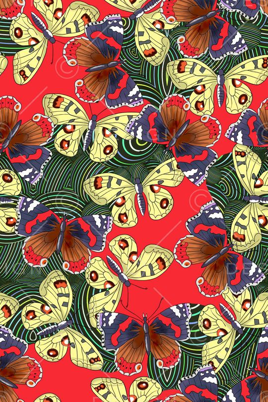 蝴蝶印花华亿平台图片