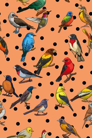 定位数码鸟类印花华亿平台图片