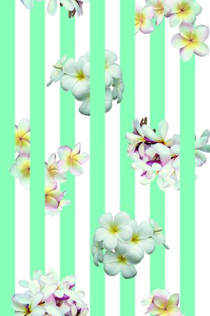 竖条印花华亿平台图片