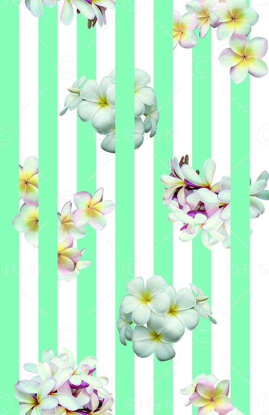 竖条印花华亿平台图片