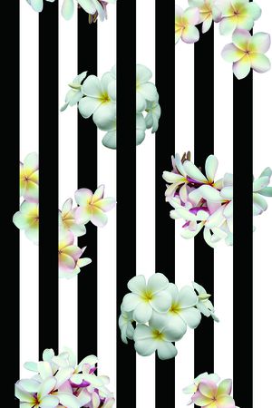 竖条印花华亿平台图片