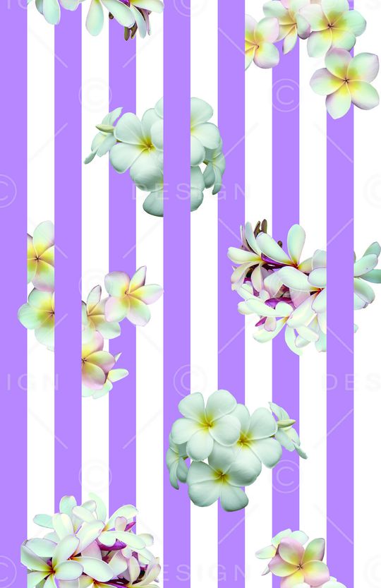 竖条印花华亿平台图片