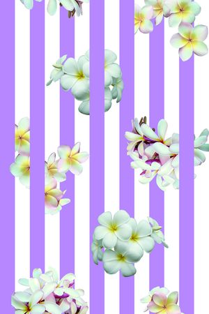 竖条印花华亿平台图片