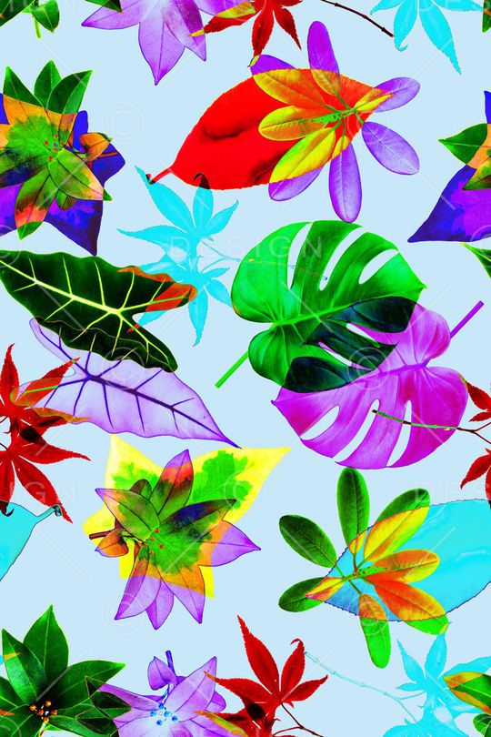 热带印花华亿平台图片