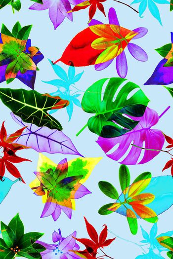 637097-热带叶子05730