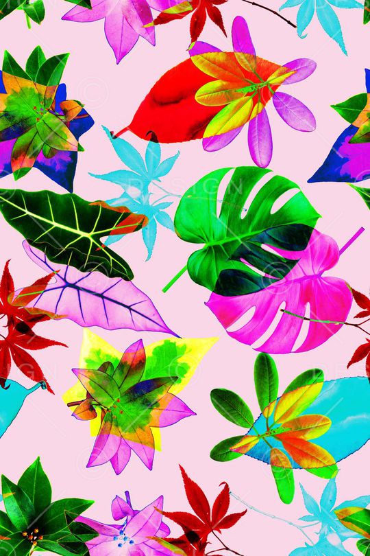 热带印花华亿平台图片