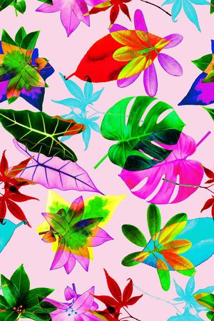 热带印花华亿平台图片