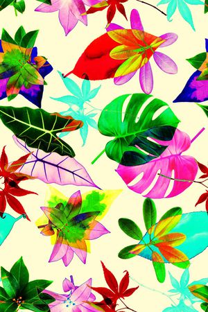 热带印花华亿平台图片