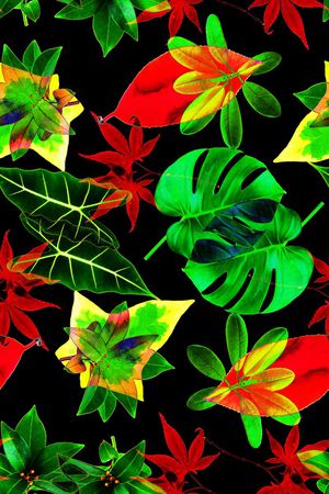 热带印花华亿平台图片