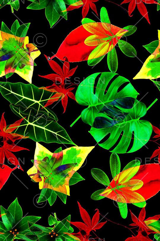 热带印花华亿平台图片