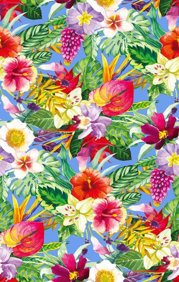 637203-热带雨林  丛林植物