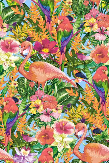 637231-热带雨林 丛林植物花鸟