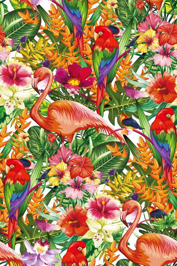 637232-热带雨林 丛林植物花鸟--2