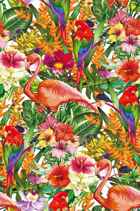 天堂鸟花印花华亿平台图片