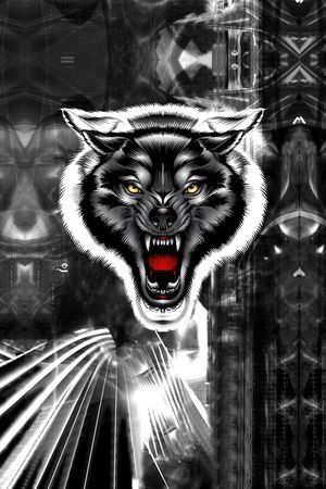 数码印花华亿平台图片