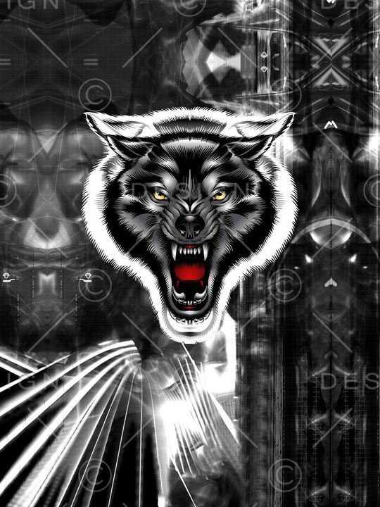 数码印花华亿平台图片