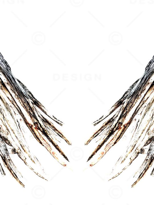 原创手绘工笔画肌理木纹翅膀印花华亿平台图片