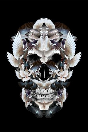 骷髅头印花华亿平台图片