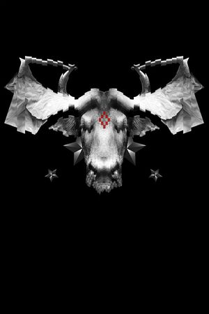 骷髅头印花华亿平台图片