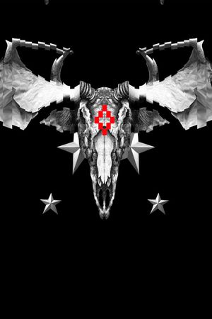 骷髅头印花华亿平台图片