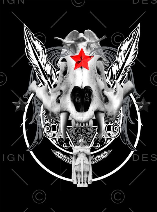 骷髅头印花华亿平台图片