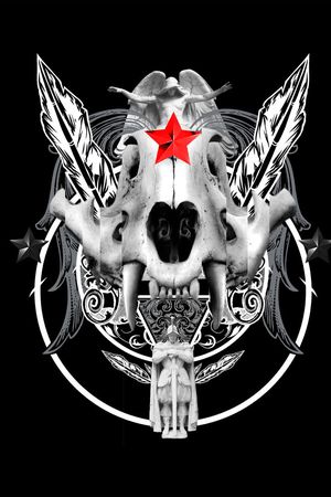 骷髅头印花华亿平台图片