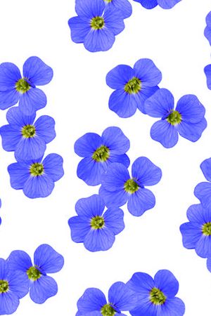 花瓣印花华亿平台图片