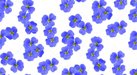 花瓣印花华亿平台图片