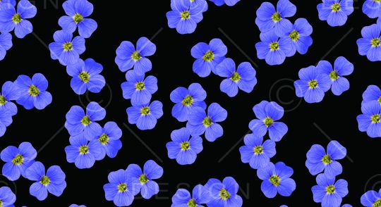 花瓣印花华亿平台图片