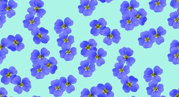 637521-紫色花朵-c