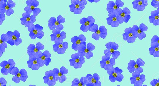 花瓣印花华亿平台图片