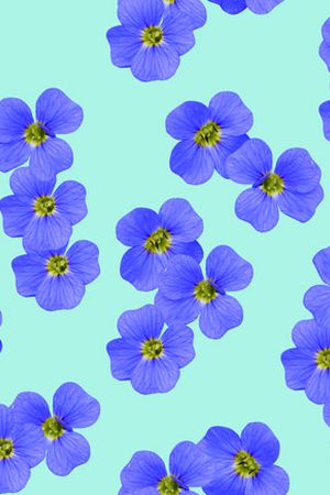 花瓣印花华亿平台图片