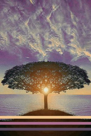 流行时尚印花华亿平台图片