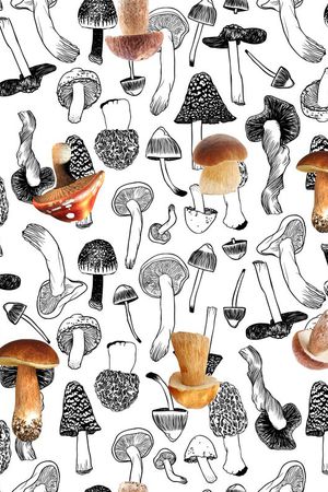 蘑菇印花华亿平台图片