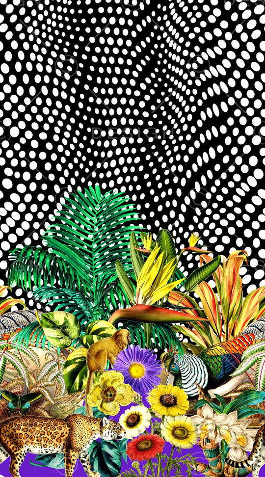 波点印花华亿平台图片