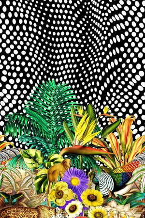 波点印花华亿平台图片