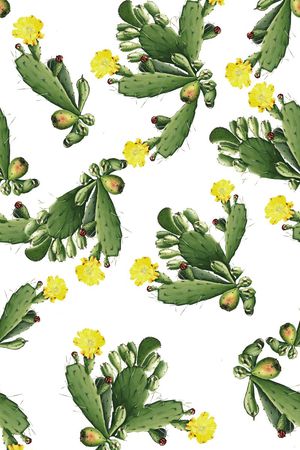 仙人掌印花华亿平台图片