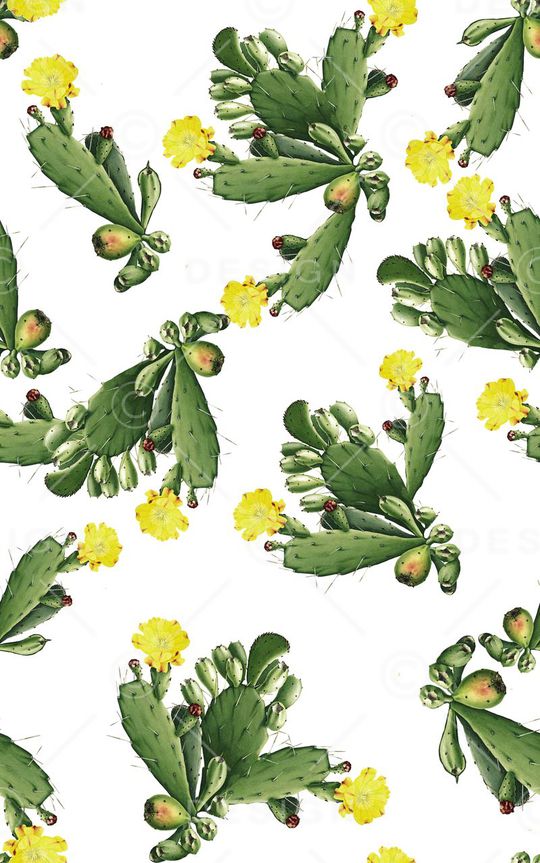 仙人掌印花华亿平台图片