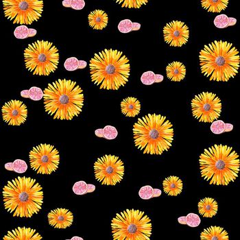 637732-橙子菊花黑