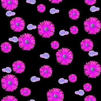 637733-橙子菊花紫