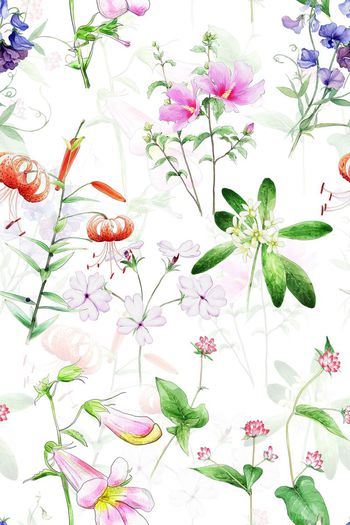 637734-田园风清新手绘花卉