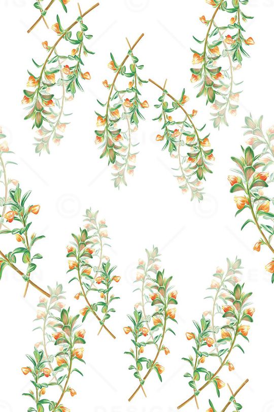 温馨淡雅印花华亿平台图片