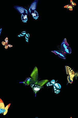 腰果花印花华亿平台图片