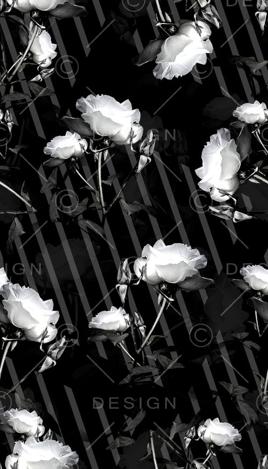 秋冬女装印花华亿平台图片