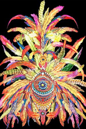 羽毛印花华亿平台图片