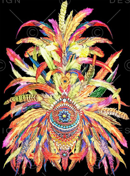 羽毛印花华亿平台图片