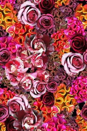 鸡冠花印花华亿平台图片