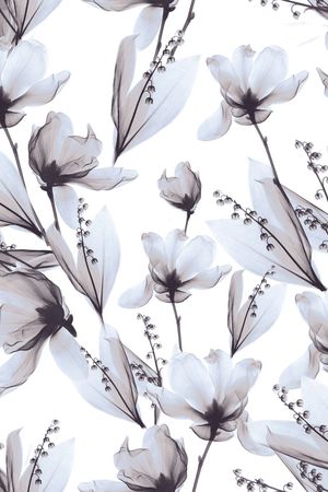 欧美印花华亿平台图片